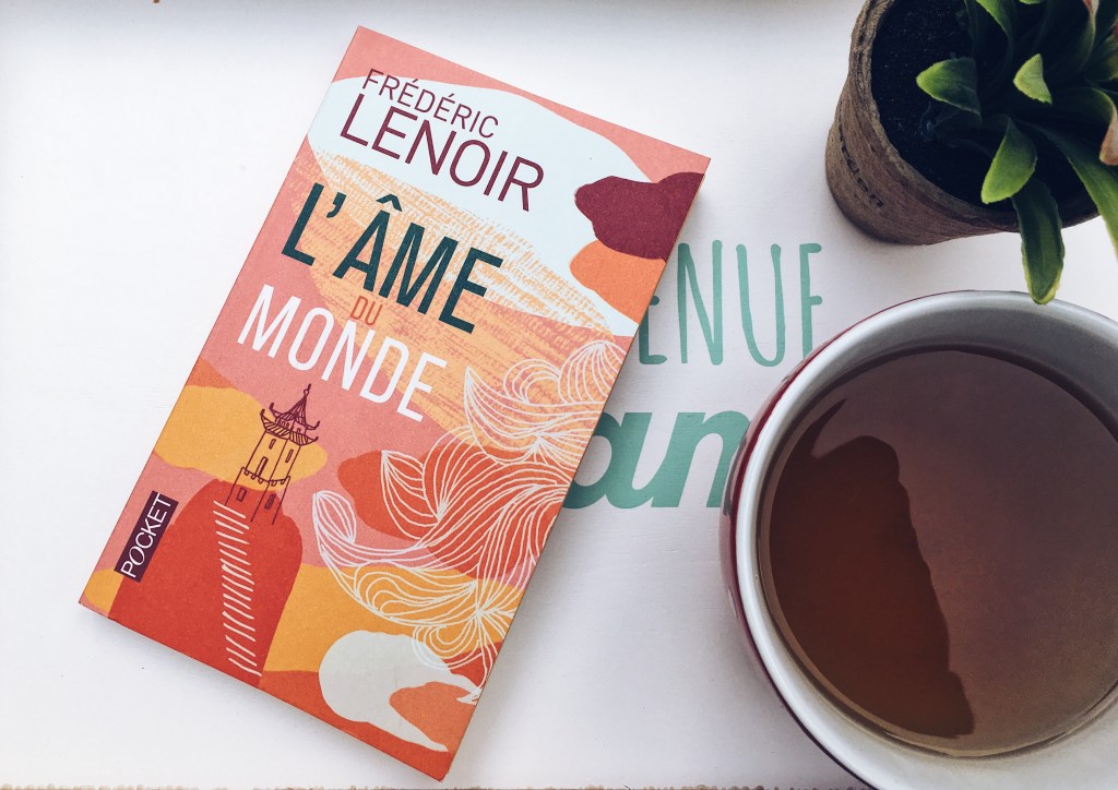 &laquo;&nbsp;Est- ce vrai? Est-ce bon? Est-ce utile?&nbsp;&raquo; – L’Âme du Monde de Fréderic&nbsp;Lenoir