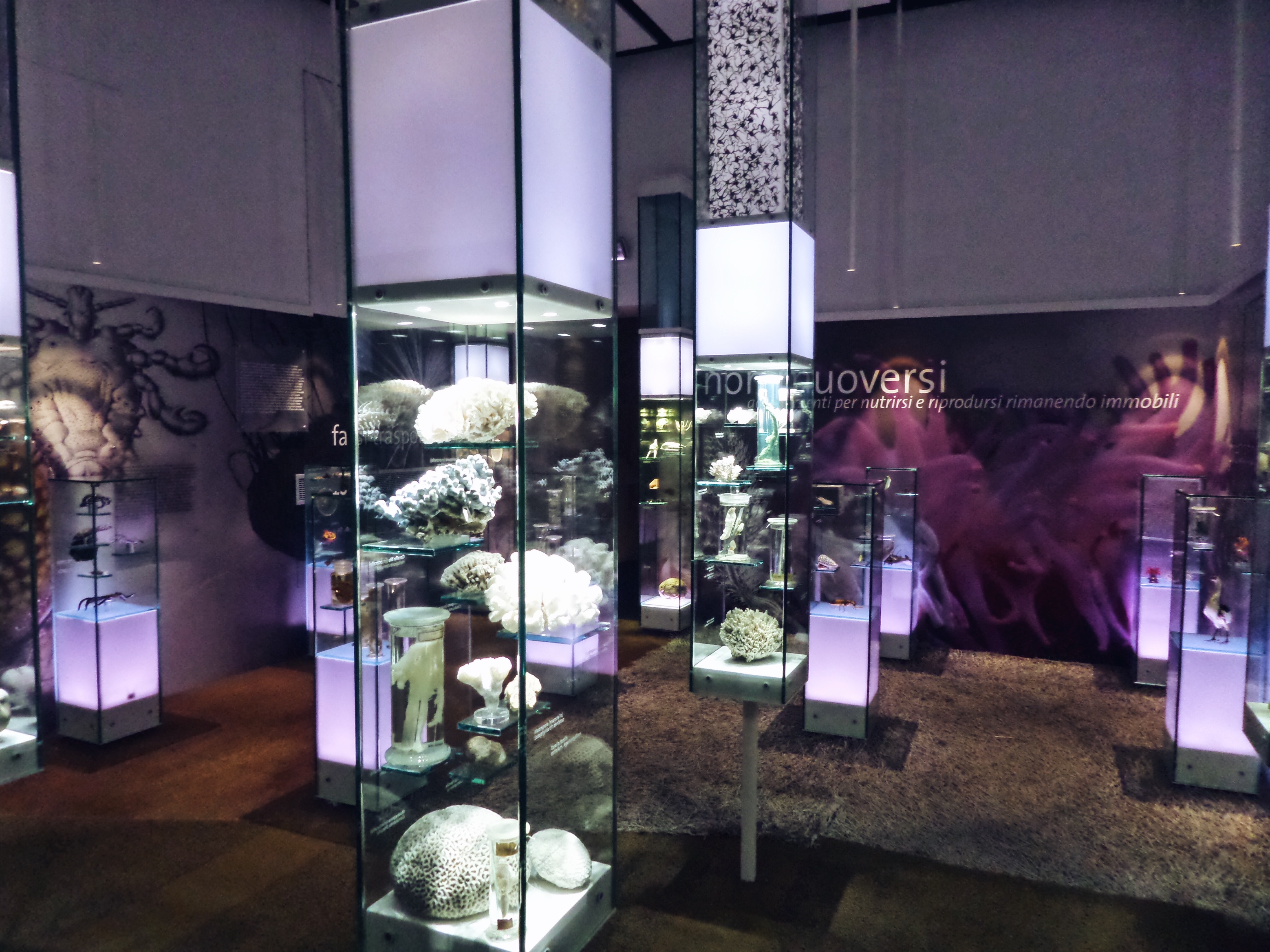 SAMSUNG CAMERA PICTURES Processed with VSCO with a5 preset