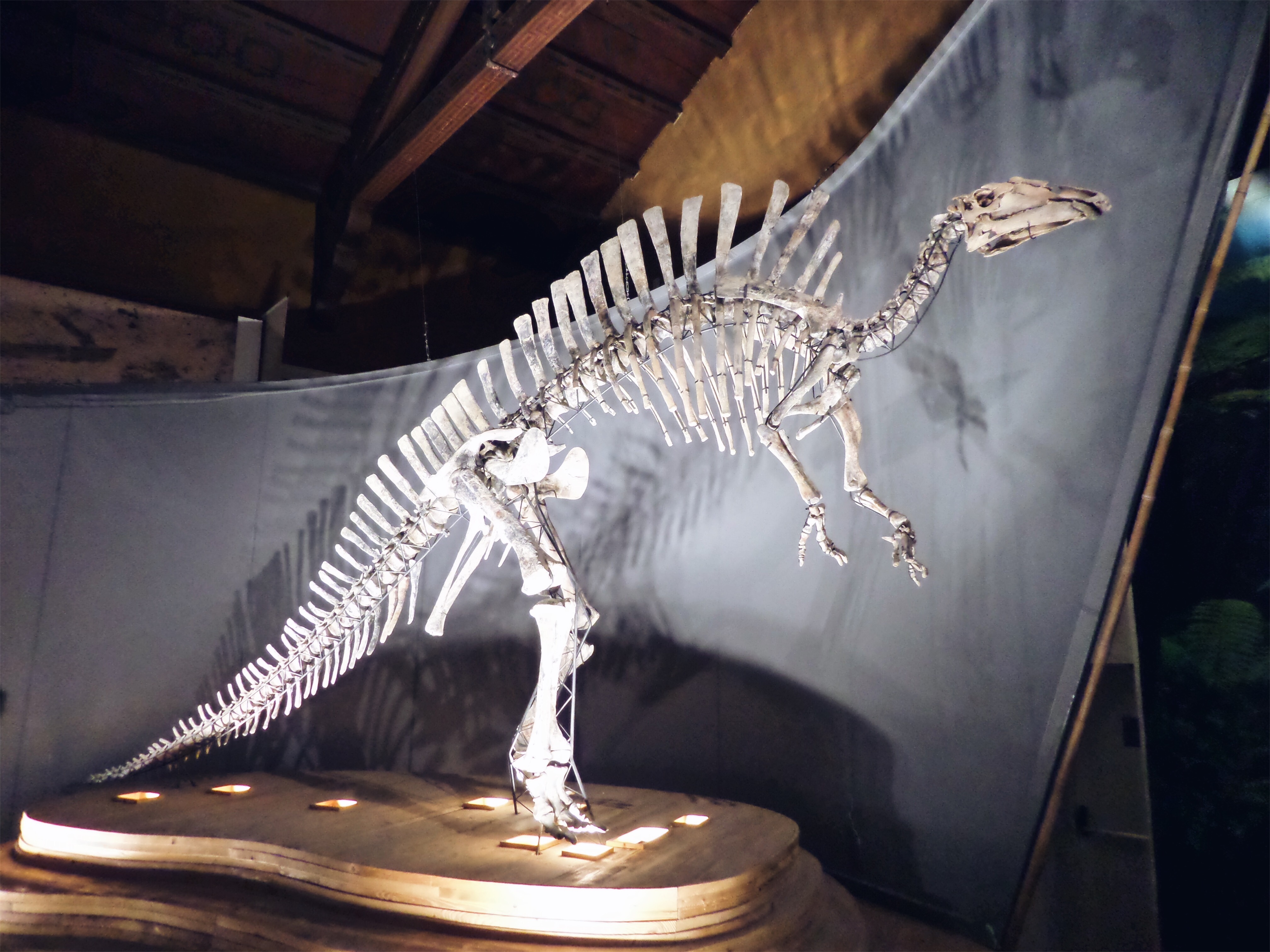 SAMSUNG CAMERA PICTURES Processed with VSCO with a5 preset