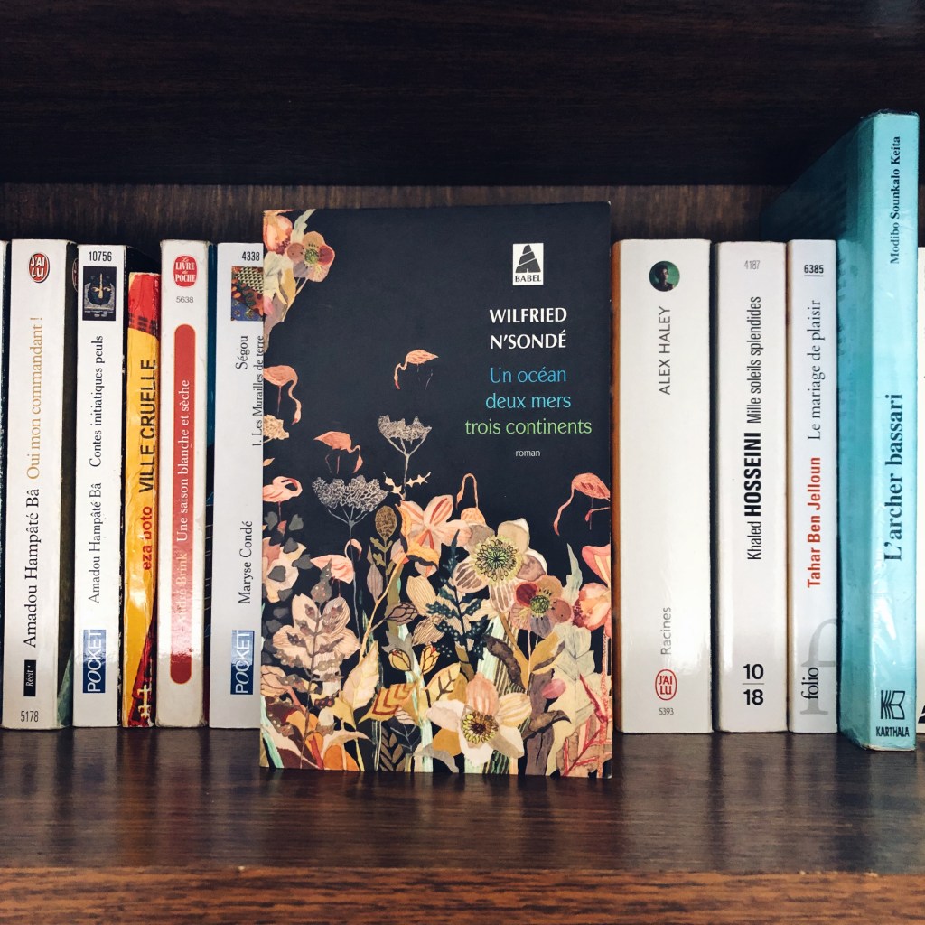 Un océan, deux mers, trois continents – Wilfried&nbsp;N&rsquo;sondé